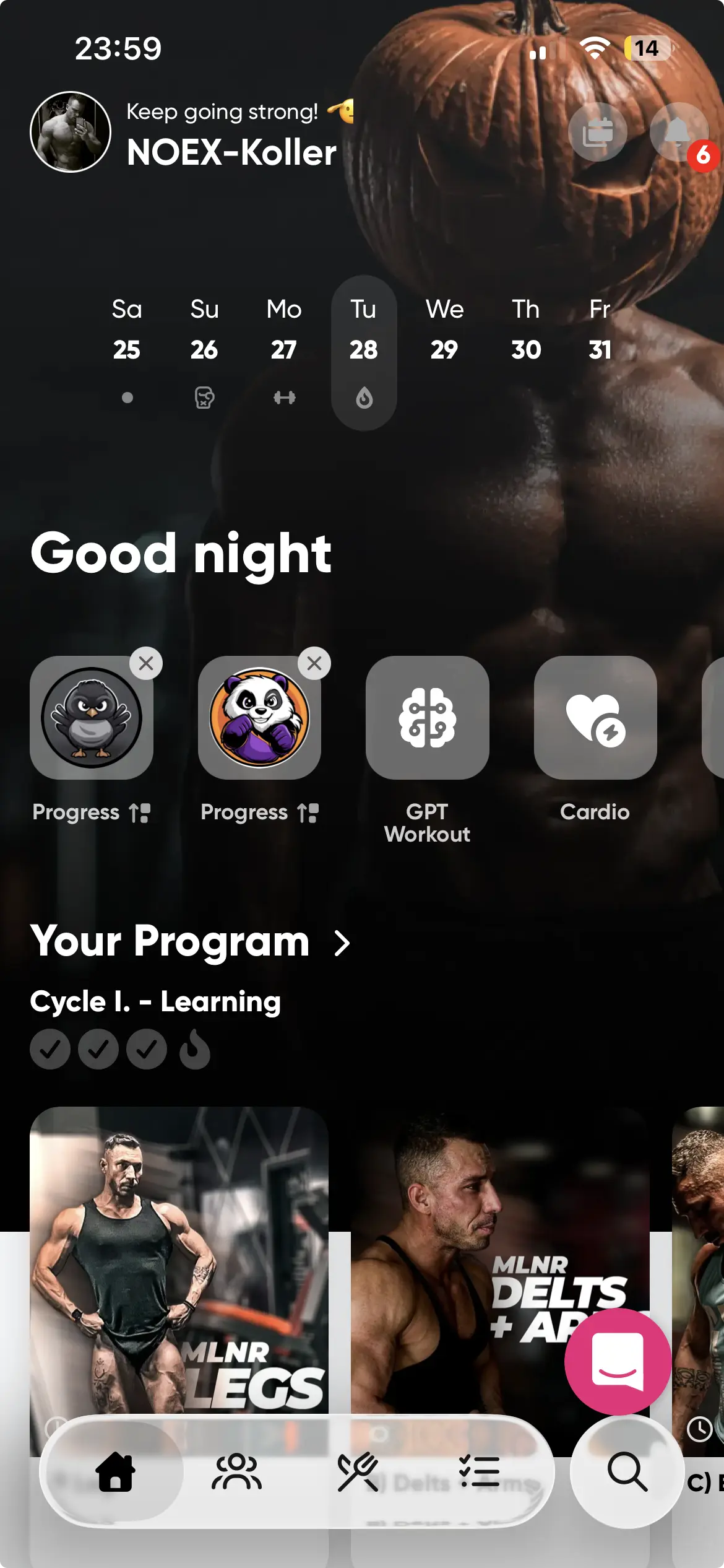 NOEX Fitness App Interface